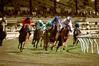 Horse Racing